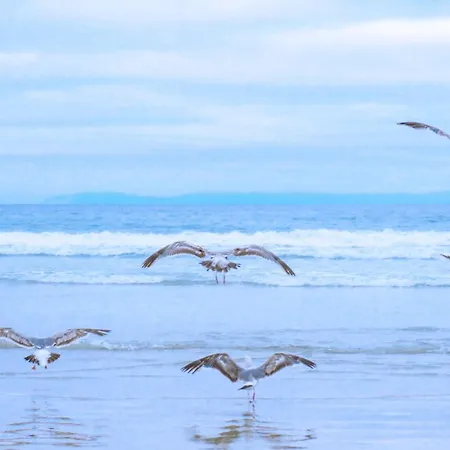 Garnekuul 84 - Car Free Park De Garnekuul Aan Zee *