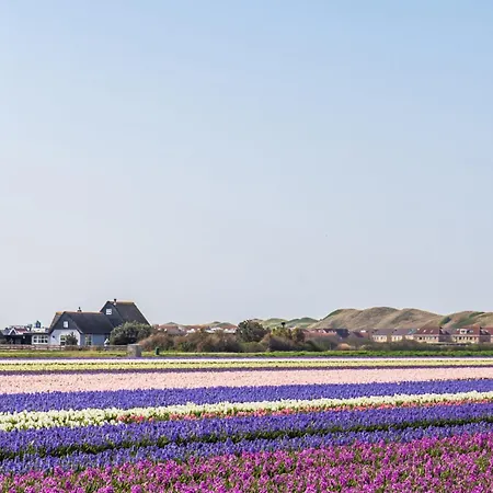 Garnekuul 84 - Car Free Park De Garnekuul Aan Zee